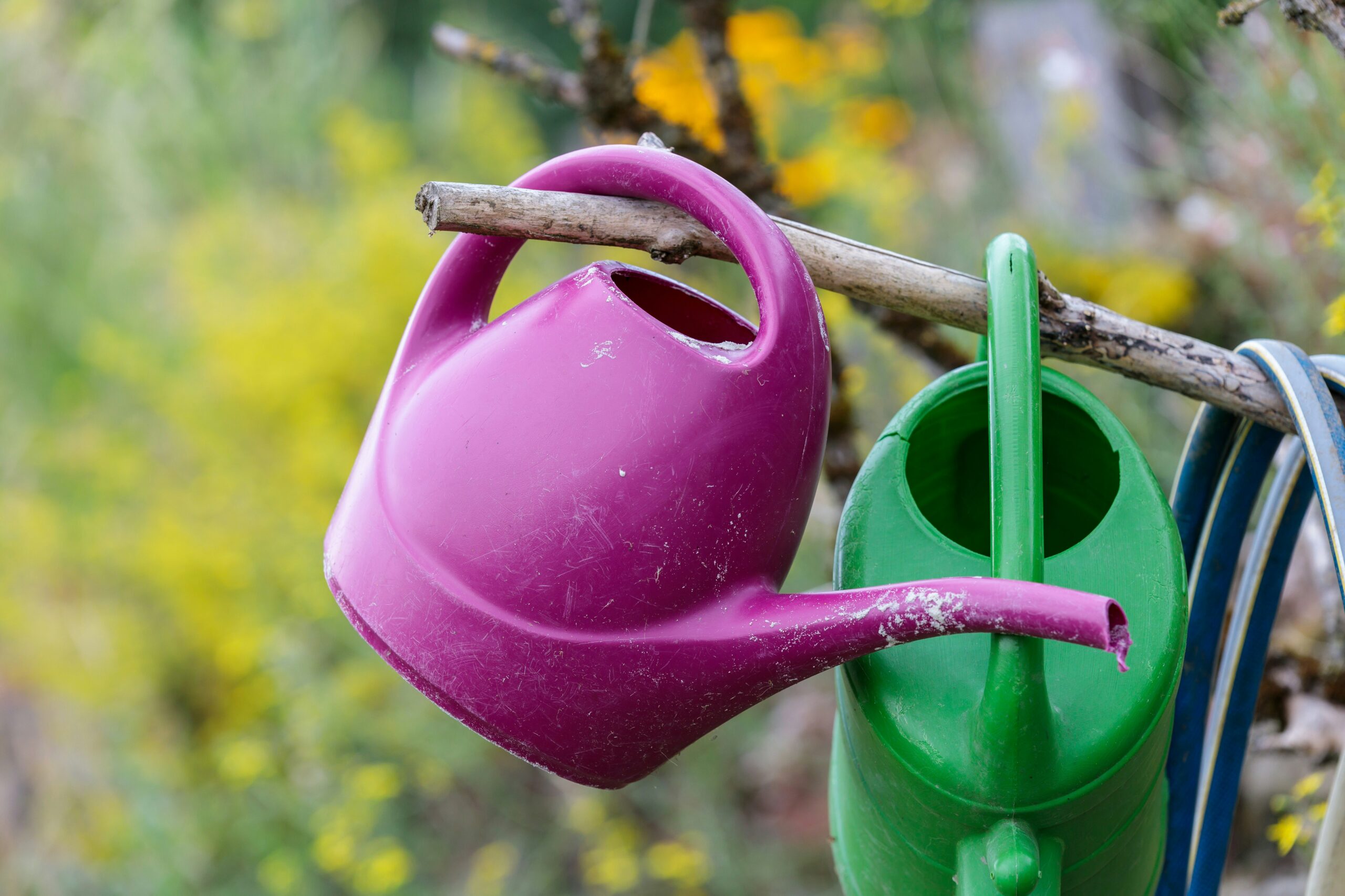 a watering can